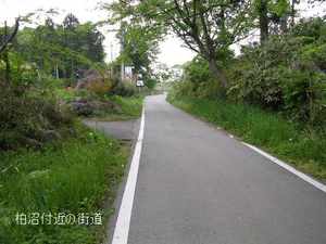 p008.JPG